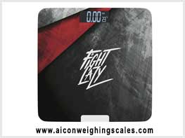 Aicon Weighing Scales Ludhiana Punjab - Weight Machine and Truck Weighing Scales manufacturer in India